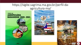 https://sigite.sagrima.ma.gov.br/perfil-da-
agricultura-ma/
 