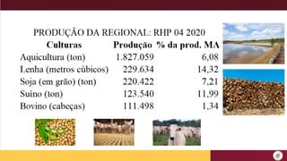 1 - Conceitos basicos em adms e conomia.pptx