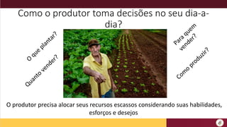 Como o produtor toma decisões no seu dia-a-
dia?
O produtor precisa alocar seus recursos escassos considerando suas habilidades,
esforços e desejos
 