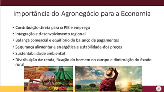 Importância do Agronegócio para a Economia
• Contribuição direta para o PIB e emprego
• Integração e desenvolvimento regional
• Balança comercial e equilíbrio do balanço de pagamentos
• Segurança alimentar e energética e estabilidade dos preços
• Sustentabilidade ambiental
• Distribuição de renda, fixação do homem no campo e diminuição do êxodo
rural
 