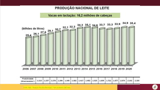Fonte: IBGE –Pesquisa Pecuária Municipal / *ano produtivo (305 dias)
 