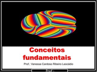 Conceitos
fundamentais
Prof.: Vanessa Cardoso Ribeiro Leocádio
 