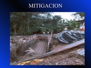 MITIGACION 