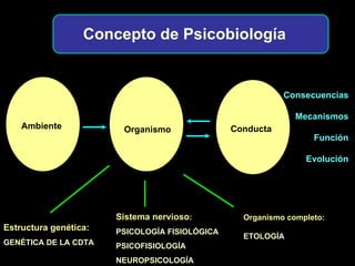 Sistema nervioso : PSICOLOGÍA FISIOLÓGICA PSICOFISIOLOGÍA NEUROPSICOLOGÍA Estructura genética : GENÉTICA DE LA CDTA Concepto de Psicobiología Organismo completo: ETOLOGÍA Ambiente Organismo Conducta Consecuencias Mecanismos Función Evolución 
