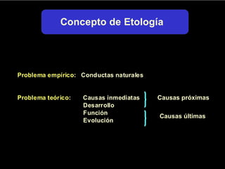 Causas próximas Causas últimas 