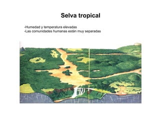 Selva tropical
-Humedad y temperatura elevadas
-Las comunidades humanas están muy separadas
 