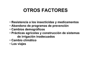 OTROS FACTORES

• Resistencia a los insecticidas y medicamentos
• Abandono de programas de prevención
• Cambios demográficos
• Prácticas agrícolas y construcción de sistemas
      de irrigación inadecuados
• Cambio climático
• Los viajes
 