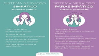 1-CONCEPTOS BASICOS DE LAS NEUROCIENCIAS.pptx
