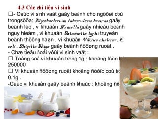 4.3 Các chỉ tiêu vi sinh
- Caùc vi sinh vaät gaây beänh cho ngöôøi coù
trongsöõa: Mycobacterium tuberculosis bovirus gaây
beänh lao , vi khuaån Brucella gaây nhieàu beänh
nguy hieåm , vi khuaån Salmonella typhi truyeàn
beänh thöông haøn , vi khuaån Vibrico cholerae , E.
coli , Shigella Shiga gaây beänh ñöôøng ruoät .
- Chæ tieâu ñoái vôùi vi sinh vaät :
 Toång soá vi khuaån trong 1g : khoâng lôùn hôn
250000
 Vi khuaån ñöôøng ruoät khoâng ñöôïc coù trong
0.1g .
-Caùc vi khuaån gaây beänh khaùc : khoâng ñöôïc
coù
 