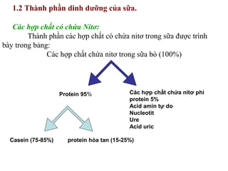 Casein (75-85%) protein hòa tan (15-25%)
Protein 95%
1.2 Thành phần dinh dưỡng của sữa.
Các hợp chất có chứa Nitơ:
Thành phần các hợp chất có chứa nitơ trong sữa được trình
bày trong bảng:
Các hợp chất chứa nitơ trong sữa bò (100%)
Các hợp chất chứa nitơ phi
protein 5%
Acid amin tự do
Nucleotit
Ure
Acid uric
 