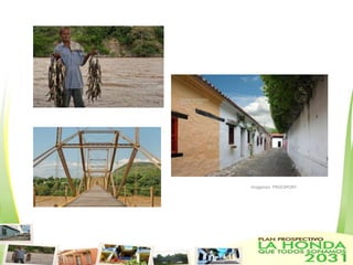 Imágenes: PROEXPORT
 