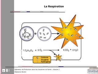 La Respiration




     Opérateur de Production dans les Industries de Santé – Module 2
10
     Stéphanie Bordin
 
