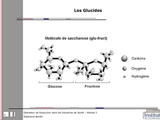 Les Glucides




    Opérateur de Production dans les Industries de Santé – Module 2
6
    Stéphanie Bordin
 