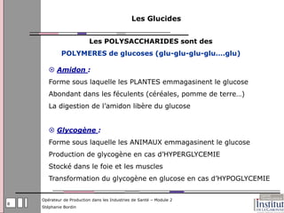 Les Glucides


                          Les POLYSACCHARIDES sont des
             POLYMERES de glucoses (glu-glu-glu-glu….glu)

        Amidon :
       Forme sous laquelle les PLANTES emmagasinent le glucose
       Abondant dans les féculents (céréales, pomme de terre…)
       La digestion de l’amidon libère du glucose


        Glycogène :
       Forme sous laquelle les ANIMAUX emmagasinent le glucose
       Production de glycogène en cas d’HYPERGLYCEMIE
       Stocké dans le foie et les muscles
       Transformation du glycogène en glucose en cas d’HYPOGLYCEMIE


    Opérateur de Production dans les Industries de Santé – Module 2
8
    Stéphanie Bordin
 