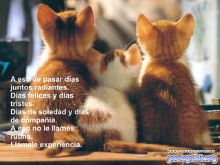 A eso de pasar días juntos radiantes. Días felices y días tristes. Días de soledad y días de compañía. A eso no le llames rutina, Llámale experiencia. 