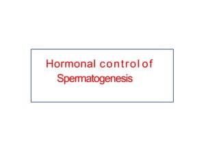 Hormonal control of
Spermatogenesis
 