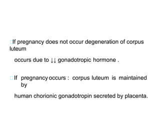 If pregnancy does not occur degeneration of corpus
luteum
occurs due to ↓↓ gonadotropic hormone .
If pregnancy occurs : corpus luteum is maintained
by
human chorionic gonadotropin secreted by placenta.
 