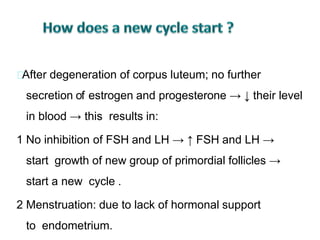 After degeneration of corpus luteum; no further
secretion of estrogen and progesterone → ↓ their level
in blood → this results in:
1 No inhibition of FSH and LH → ↑ FSH and LH →
start growth of new group of primordial follicles →
start a new cycle .
2 Menstruation: due to lack of hormonal support
to endometrium.
 