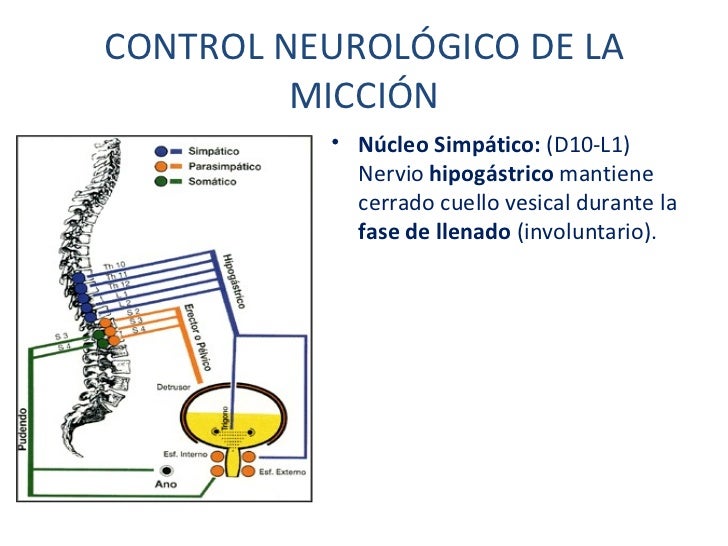 1 copia de ponencia congreso marina definitiva 1 copia de ponencia congreso marina definitiva