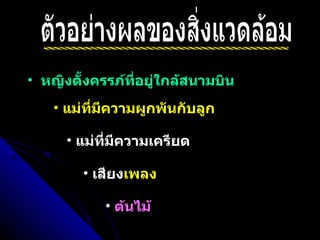 ตัวอย่างผลของสิ่งแวดล้อม หญิงตั้งครรภ์ที่อยู่ใกล้สนามบิน แม่ที่มีความเครียด ต้นไม้ แม่ที่มีความผูกพันกับลูก เสียง เพลง 