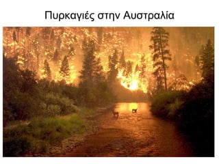 Πυρκαγιές στην Αυστραλία 