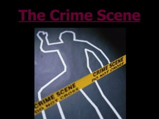 The Crime Scene 
