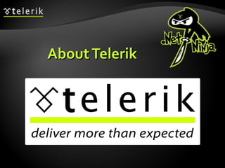 About Telerik 