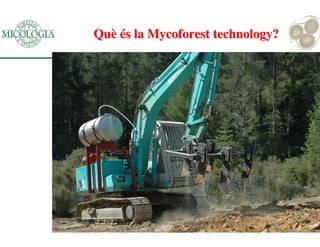 QuQuèè éés la Mycoforest technology?s la Mycoforest technology?
 