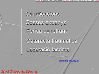 1 Causticacions Cossosextranys Feridapenetrant Cataractatraumàtica Laceració lacrimal ESTER CASAS 