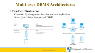 Introduction to databasecasmfnbskdfjnfkjsdnsjkdfn | PPT