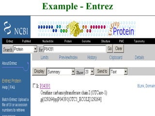 Example - Entrez
 