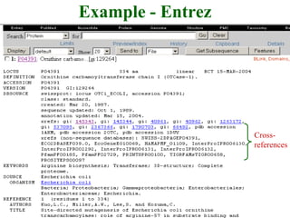Example - Entrez
Cross-
references
 