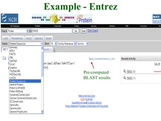 Example - Entrez
Pre-computed
BLAST results
 