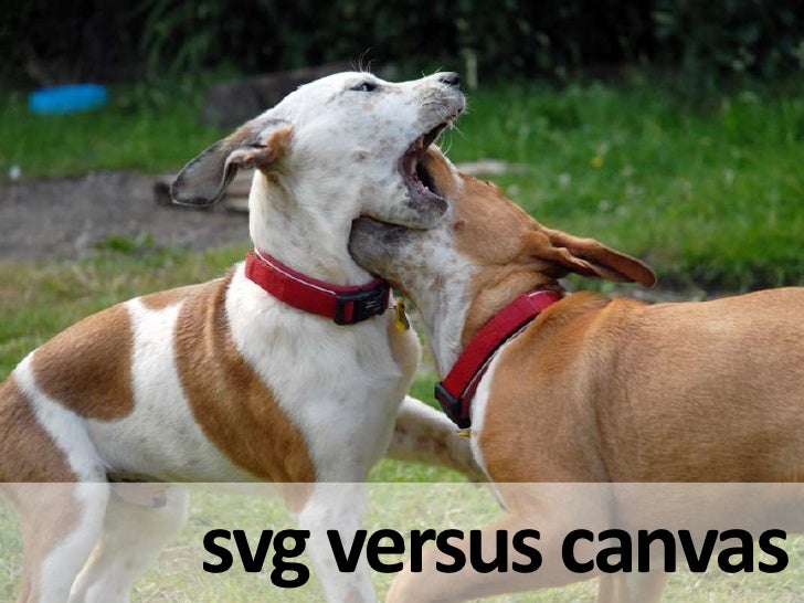 Download HTML5 Graphics - Canvas and SVG