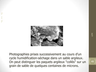F
I
F
Photographies prises successivement au cours d’un
cycle humidification-séchage dans un sable argileux.
On peut distinguer les paquets argileux "collés" sur un
grain de sable de quelques centaines de microns.
©PM
49
 