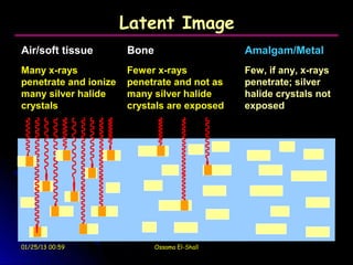 Latent Image
Air/soft tissue        Bone                     Amalgam/Metal
Many x-rays            Fewer x-rays             Few, if any, x-rays
penetrate and ionize   penetrate and not as     penetrate; silver
many silver halide     many silver halide       halide crystals not
crystals               crystals are exposed     exposed




01/25/13 00:59                Ossama El-Shall
 