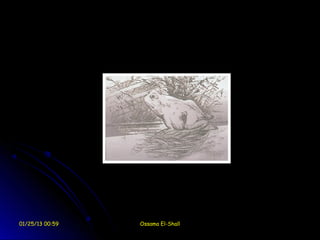 01/25/13 00:59   Ossama El-Shall
 