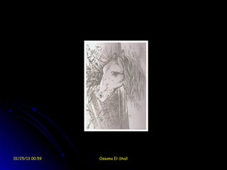 01/25/13 00:59   Ossama El-Shall
 