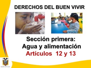DERECHOS DEL BUEN VIVIR

Sección primera:
Agua y alimentación
Artículos 12 y 13

 