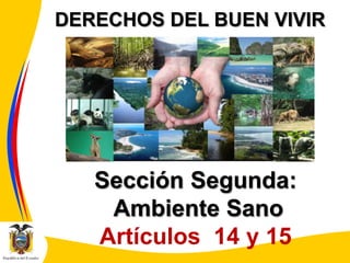 DERECHOS DEL BUEN VIVIR

Sección Segunda:
Ambiente Sano
Artículos 14 y 15

 