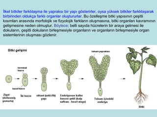 1 ders-bitki-anatomisine-giris | PPT