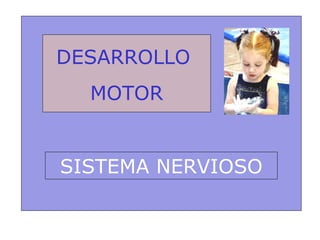 DESARROLLO  MOTOR SISTEMA NERVIOSO 