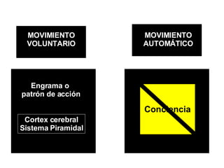 MOVIMIENTO VOLUNTARIO MOVIMIENTO AUTOMÁTICO Engrama o  patrón de acción Cortex cerebral Sistema Piramidal Conciencia 