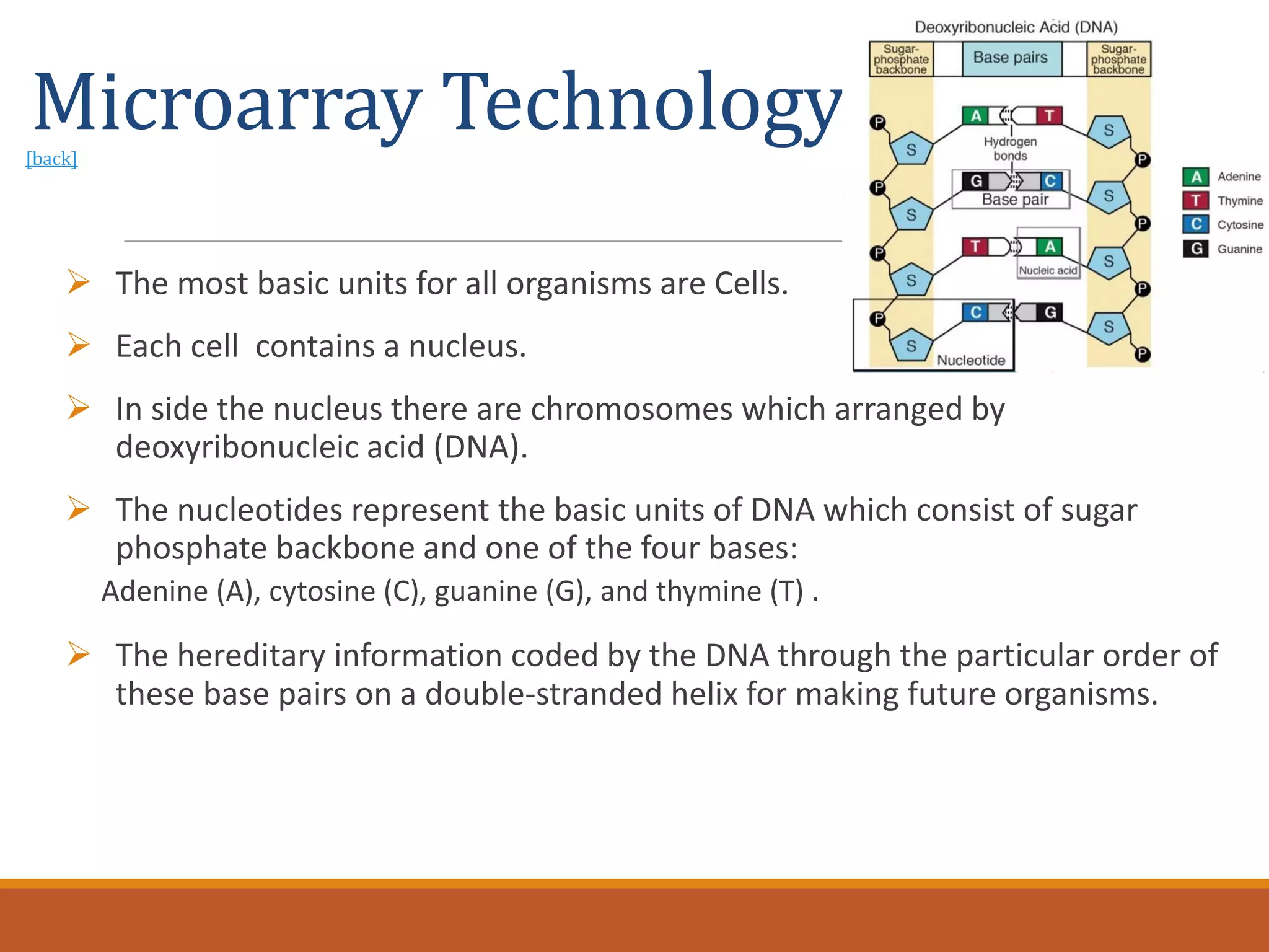 Microarray Technology[back]
 The most basic units for all organisms are Cells.
 Each cell contains a nucleus.
 In side the nucleus there are chromosomes which arranged by
deoxyribonucleic acid (DNA).
 The nucleotides represent the basic units of DNA which consist of sugar
phosphate backbone and one of the four bases:
Adenine (A), cytosine (C), guanine (G), and thymine (T) .
 The hereditary information coded by the DNA through the particular order of
these base pairs on a double-stranded helix for making future organisms.
 