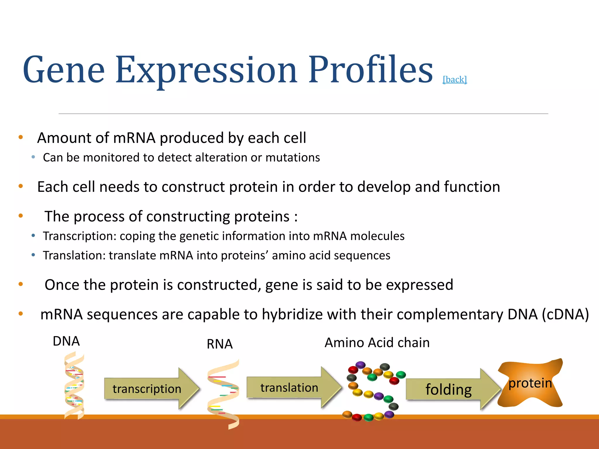 Gene Expression Profiles [back]
• Amount of mRNA produced by each cell
• Can be monitored to detect alteration or mutations
• Each cell needs to construct protein in order to develop and function
• The process of constructing proteins :
• Transcription: coping the genetic information into mRNA molecules
• Translation: translate mRNA into proteins’ amino acid sequences
• Once the protein is constructed, gene is said to be expressed
• mRNA sequences are capable to hybridize with their complementary DNA (cDNA)
DNA
AA
CG
TA
AT
C
A
CG
AT
T
CG
T
transcription
RNA
translation
Amino Acid chain
folding protein
 