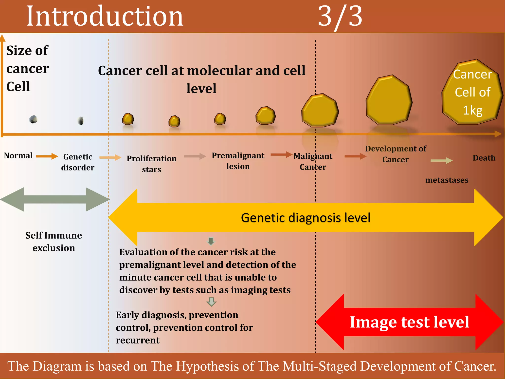 Introduction 3/3
Development of
Cancer
Size of
cancer
Cell
Cancer cell at molecular and cell
level
Self Immune
exclusion
Normal Genetic
disorder
Proliferation
stars
Premalignant
lesion
Malignant
Cancer
Death
metastases
Cancer
Cell of
1kg
Genetic diagnosis level
Evaluation of the cancer risk at the
premalignant level and detection of the
minute cancer cell that is unable to
discover by tests such as imaging tests
Early diagnosis, prevention
control, prevention control for
recurrent
Image test level
The Diagram is based on The Hypothesis of The Multi-Staged Development of Cancer.
 