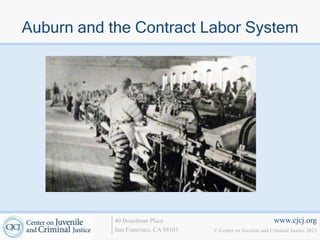 Auburn and the Contract Labor System




            40 Boardman Place                                   www.cjcj.org
            San Francisco, CA 94103   © Center on Juvenile and Criminal Justice 2013
 