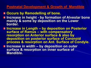 Postnatal Border Development of Face & Oral cavity.ppt