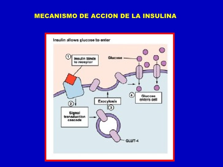diabetes clase 2011