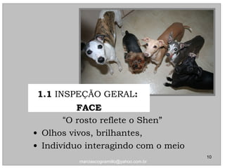 “O rosto reflete o Shen”
• Olhos vivos, brilhantes,
• Indivíduo interagindo com o meio
1.11.1 INSPEÇÃO GERAL::
FACEFACE
10
marciascognamillo@yahoo.com.br
 